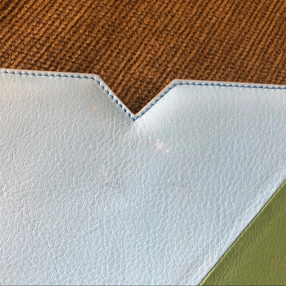 Auth Proenza Schouler Blue Green Leather Case EUC
